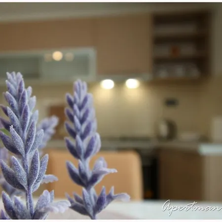 Lejlighed Jere&sara *